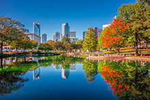Charlotte City Skyline From Marshall Park Autumn Season With Blu