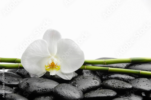 biala-orchidea-z-czarnymi-kamieniami-zen