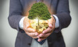 Hands holding a tree growing on coins / csr green business / business ethics / good governance