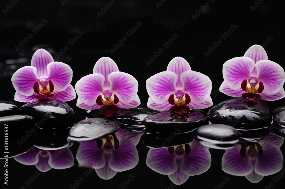 still life with black stones and gorgeous orchid - obrazy, fototapety, plakaty 