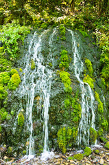  Wellspring with small cascades at Tara mountain and national park, west Serbia
