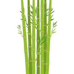  Bamboo icon. Plant nature decoration and asia theme. Isolated design. Vector illustration