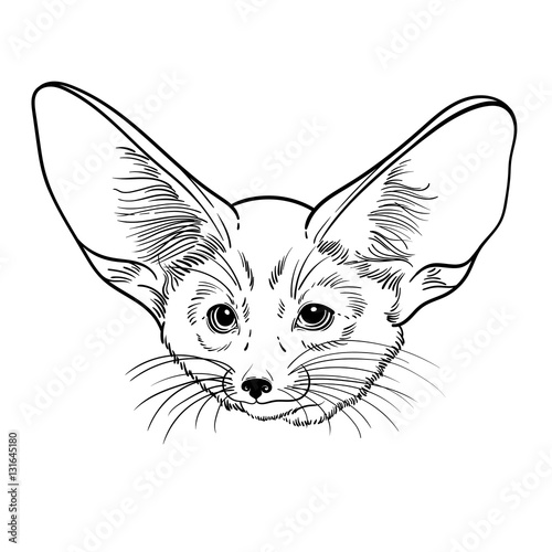 Cute Animal Little Fox Fennec Children Linear Illustration For Coloring Book To Print