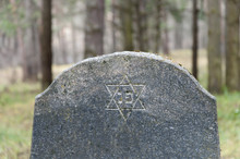 The Tombstone With The Star Of David Closeup. Old Abandoned Jewish Cemetery In Grodno, Belarus.