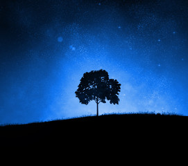 Wall Mural - Tree silhouette on a starry night