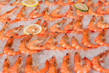 Wall Mural - Freshly cooked prawns - shrimp on a bed of crushed  ice