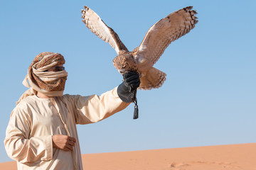 young male pharaoh eagle owl (bubo ascalaphus) during a desert falconry show in dubai, uae.