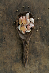 Wall Mural - Garlic with leaves of coriander isolated on white 