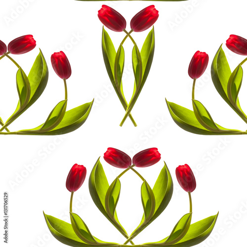 seamless pattern beautiful elegant red tulips