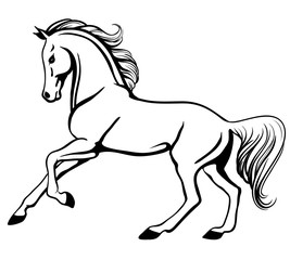 Wall Mural - Outline illustration of beautiful galloping arabian horse