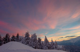 Fototapeta Na ścianę - Winter in the Carpathian mountains