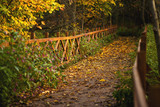 Fototapeta Na drzwi - Alley in autumn park via a wooden bridge with railings.