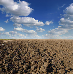 Poster - Plowed field in spring time with blue sky