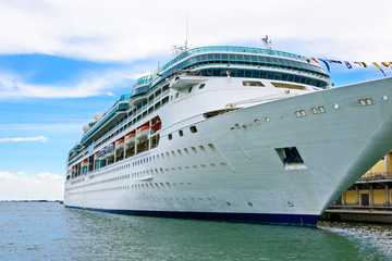 Wall Mural - Cruise Ship Anchored in Venice