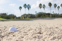 Golf Ball In Sand Trap
