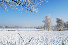 Snowy Dutch Landscape