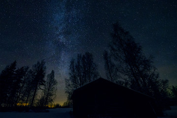 Wall Mural - milky way, old barn and tree tops in starry night sky landscape