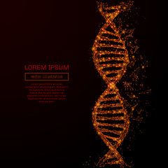 Leinwandbilder - Abstract mash line and point DNA in flames style on dark background with an inscription. DNA of a starry sky or space, consisting of stars and the universe. Vector illustration