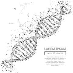Aufkleber - Grey DNA with polygon line on black abstract background. Polygonal space low poly with connecting dots and lines. Connection structure. Vector science background.
