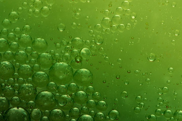 Wall Mural - World of bubbles - Green