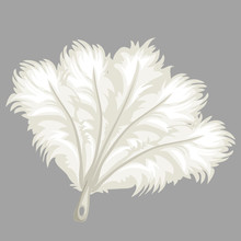 White Feather Fan, Vector Illustration