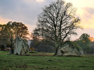 Glacial Erratics