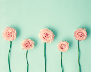 Wall Mural - Pink roses and stems over mint background