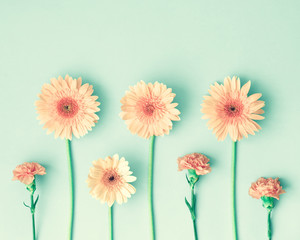 Wall Mural - Pink daisies and carnations over mint background