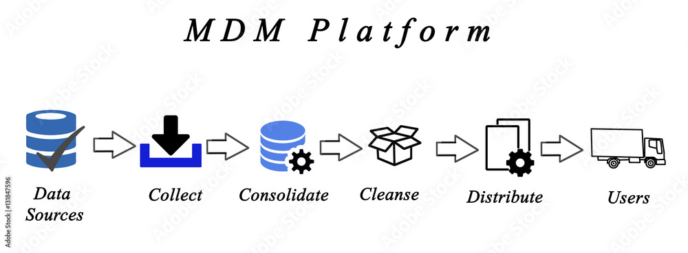 Master Data Library Diagram of Master Data Management Stock Illustration | Adobe Stock