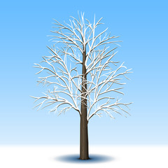 Wall Mural - detached tree without leaves in frost