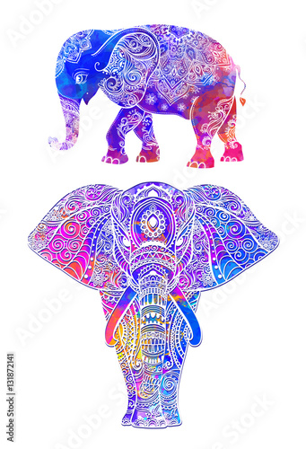 Fototapeta Beautiful vector card