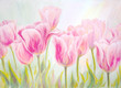 Light pink tulips, oil painting on canvas