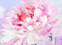 Pink And White Peony Background. Oil Painting Floral Texture