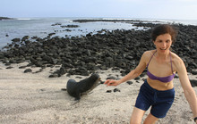 Mid Age Woman Playing With Sea Lion On Galapagos Island