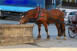 Transport, thirst, Durst, a horse is drinking water at a fountain, ein durstiges Pferd trinkt an einem Dorfbrunnen