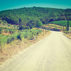 Wall Mural - Dirt Road