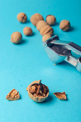 Wall Mural - Walnuts and nutcracker