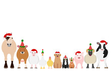 Animals For Christmas Free Stock Photo Public Domain Pictures animals-for-christmas-free-stock-photo-public-domain-pictures
