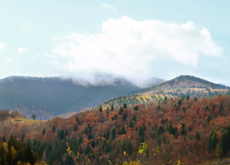 Sticker - View of autumn mountains