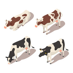 Canvas Print - Isometric 3d vector set of cows.