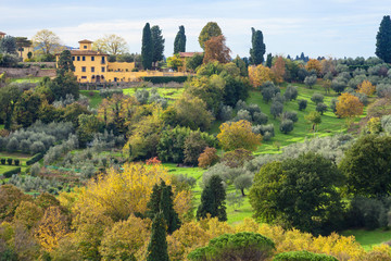 Poster - green and yellow gardens in Florence neighborhood