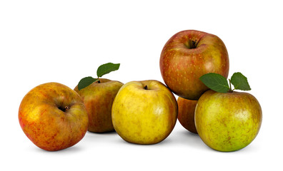 Wall Mural - Rennet apples