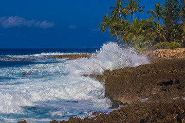 Wall Mural - sea waves crashing and breaking against the rocks at tropical beach with palm trees in island of pac