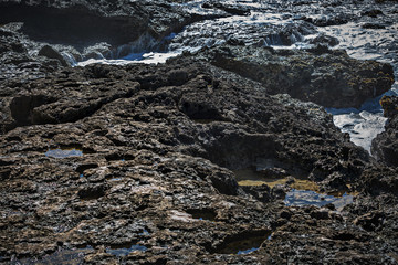 Wall Mural - rough rocky surface on shore with white foam of sea water. scene lit with sunlight. natural ocean co