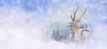 Winter Background With Deer