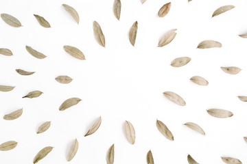 Wall Mural - Round frame made of dried brown leaves. Flat lay, top view
