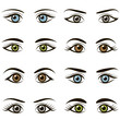Set of eyes and brows isolated on white background