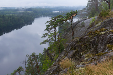 mist after the rain