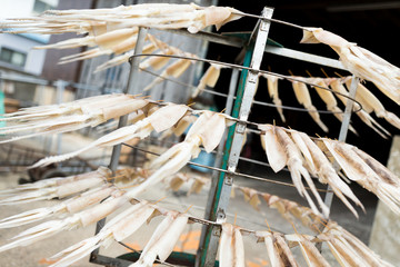 Wall Mural - Drying squid on the stand