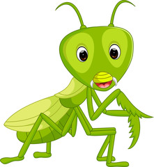 Sticker - Praying mantis grasshopper cartoon

